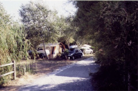 wempl02.jpg
